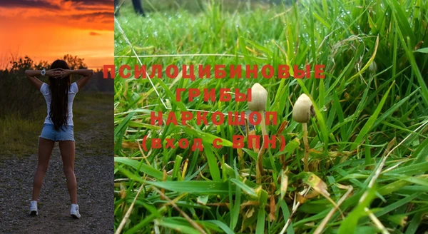 бошки Красноперекопск
