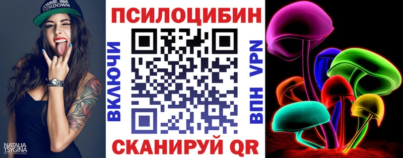 Псилоцибиновые грибы Psilocybe  Купить  Комсомольск-на-Амуре 
